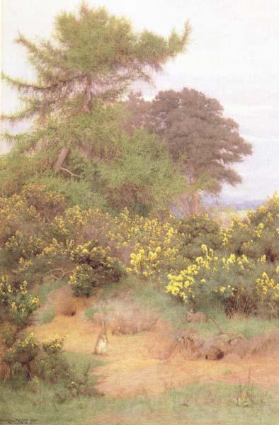 George Marks At the Edge of Shere Heath (mk46) Norge oil painting art